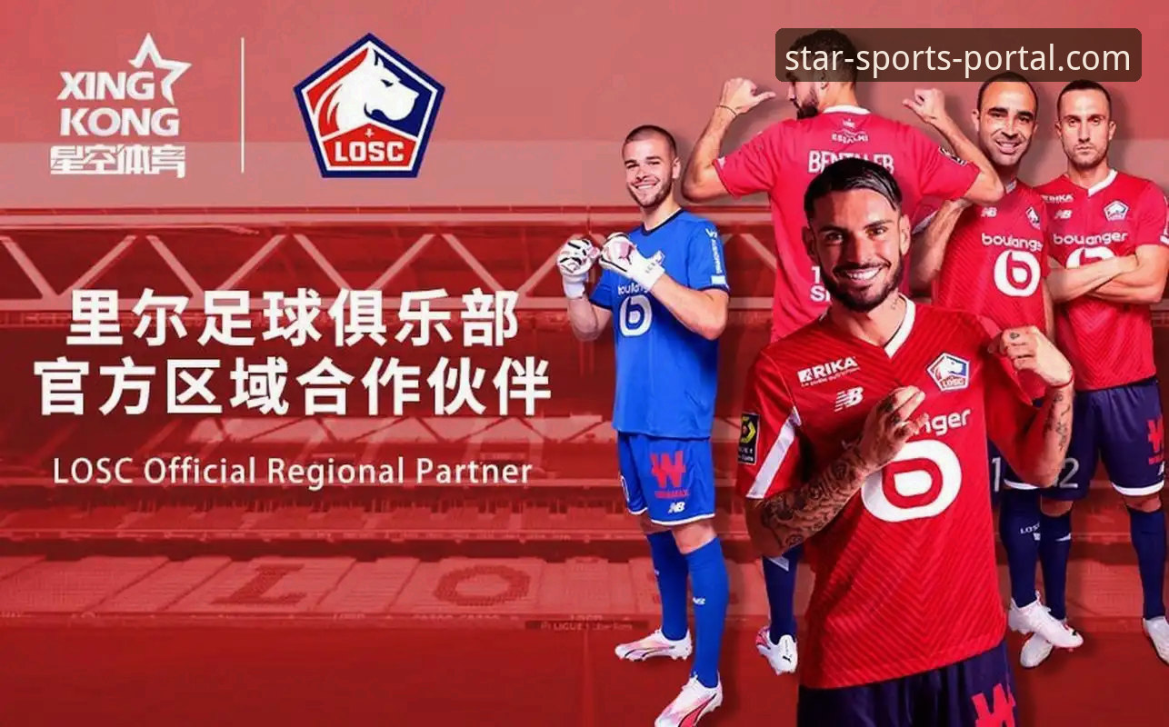 资深分析师深度解析：星空体育官网app功能实战体验与效率提升心得